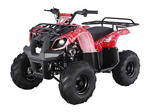 Atv 125cc Fully Automatic with Reverse 1 Year Engine Warranty