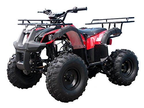 New Atv 125cc Mid Size Automatic with Reverse Ata