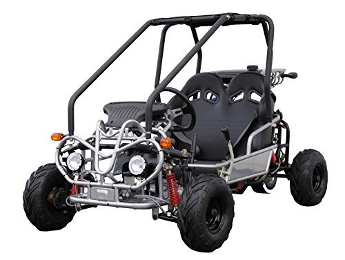 Two Seater 110CC Double Seater Semi Auto Go Kart with Reverse 
